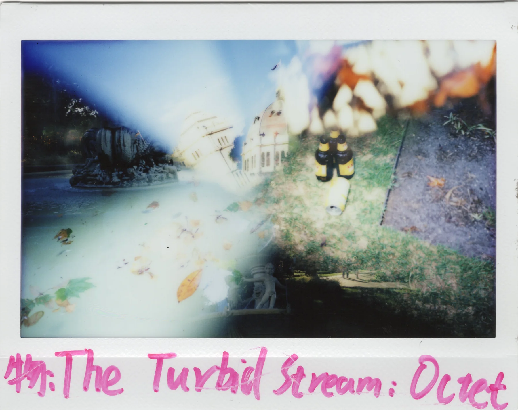 Wide Polaroid artwork with soft landscape fragments and magenta handwritten title.