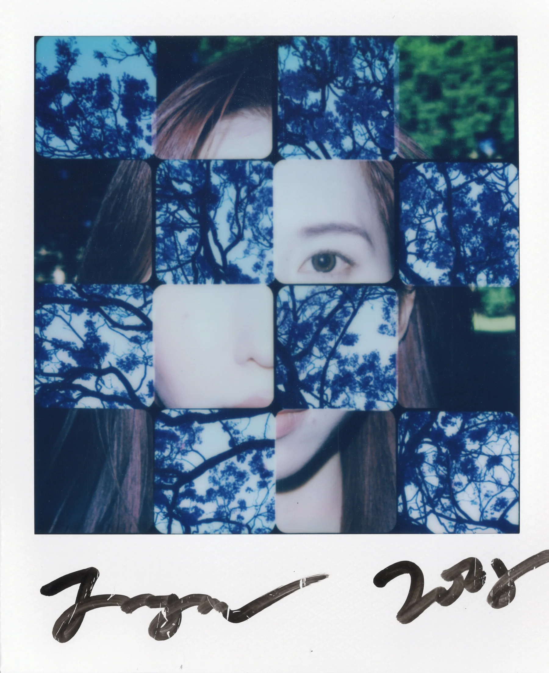 Polaroid artwork showing a face divided into a grid of blue-toned fragments.