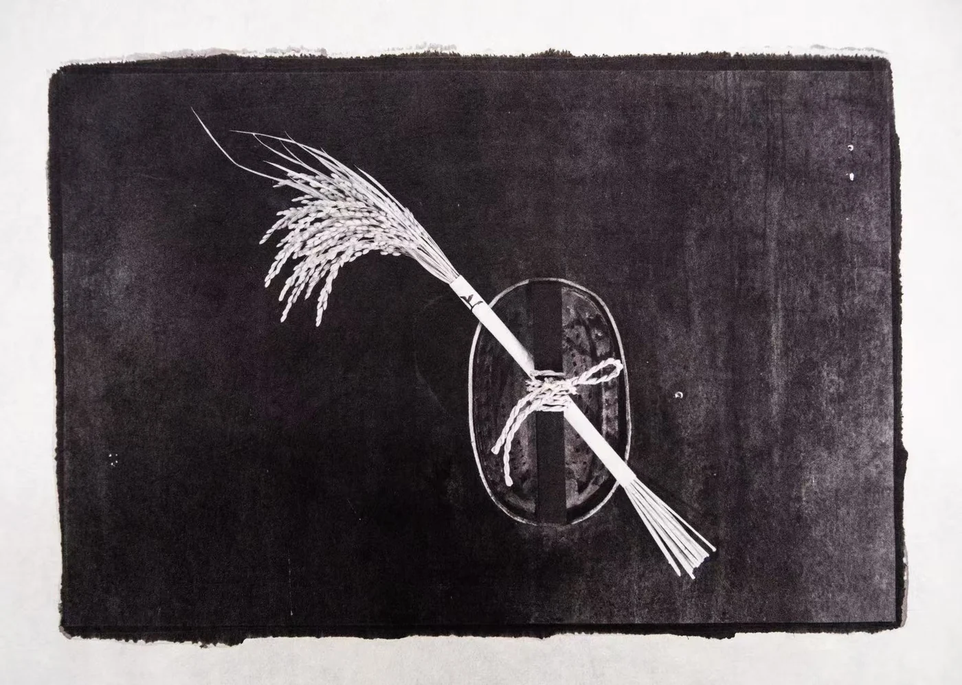 Dark platinum print study with a pale botanical form on textured paper.